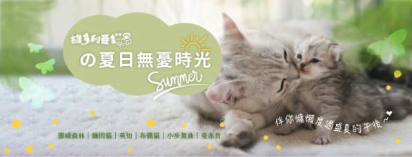 Facebook 社群脸书封面照片范例