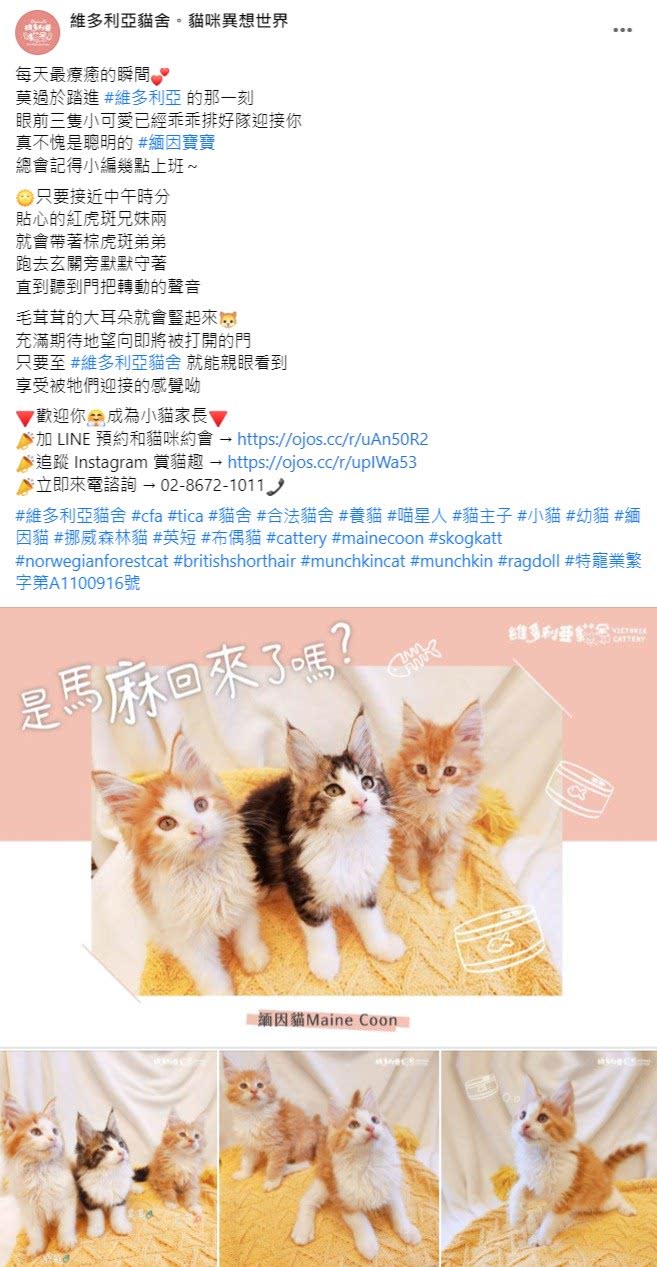 Facebook 社群贴文范例