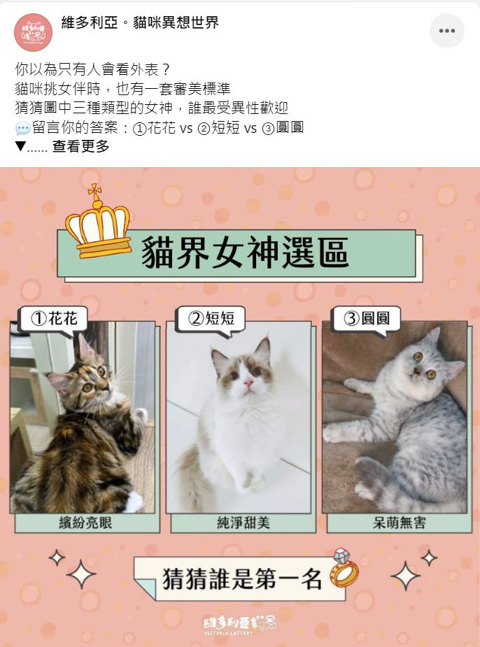 Facebook 社群贴文范例