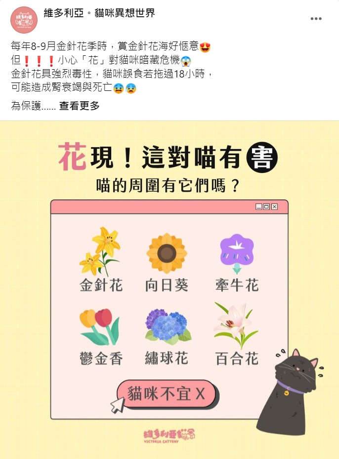 Facebook 社群贴文范例