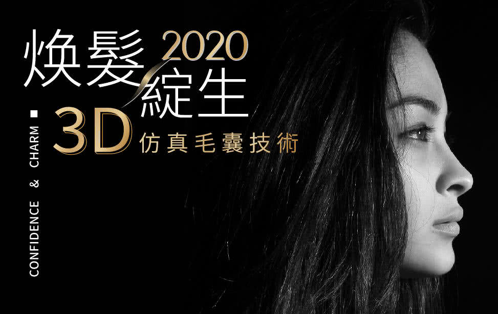 知名 3D 魔发仿真毛囊工作室