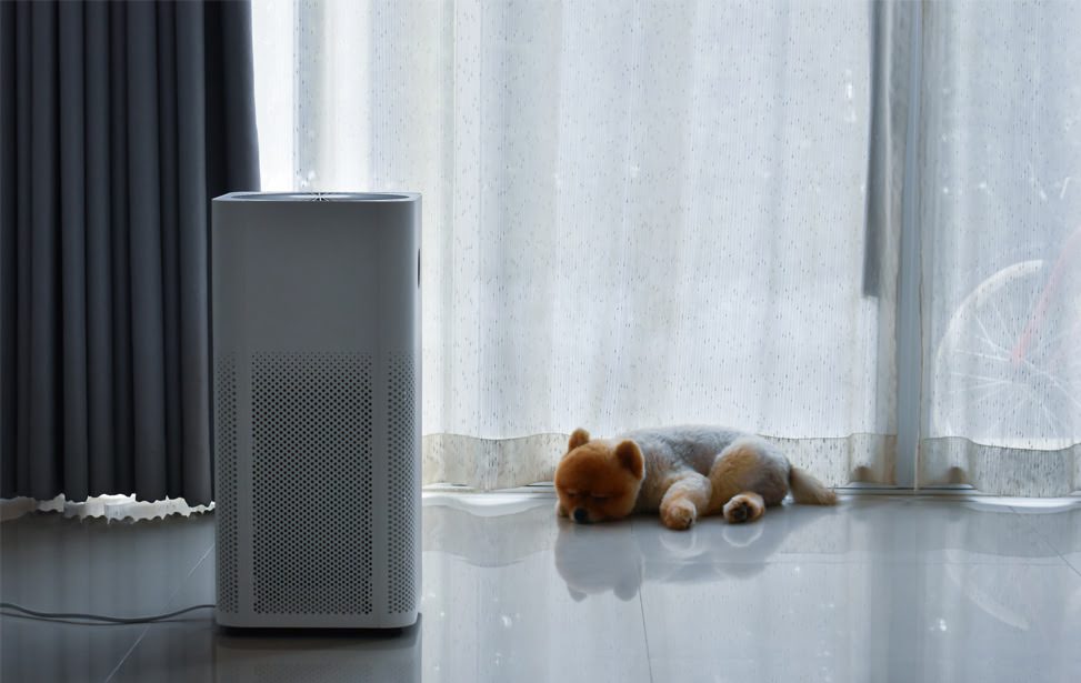 知名台湾循环扇领导品牌