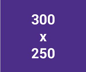 Google多媒体广告联播网广告电脑版常用广告尺寸300x250