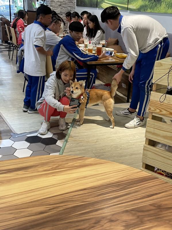 森林小徑健行店对宠物超友善